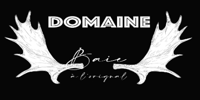 Logo Domaine Baie-à-l’Orignal Rouyn-Noranda